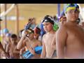 بطولة الجمهورية للسباحة في المياه المفتوحة بالإسكندرية 