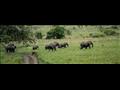 135-120626-lubombo-south-africa-elephant-sanctuary-4