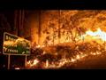 ألسنة النيران تلتهم آلاف الأفدنة من غابات كاليفورنيا
