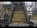 محافظ قنا يشهد انطلاق موسم عصير القصب في مصنع سكر قوص