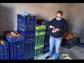 ضبط أغذية منتهية الصلاحية خلال حملة في طور سيناء 