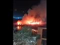 حريق أشجار بمنطقة المعلمين في أسيوط 