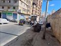رفع القمامة من شوارع الإسكندرية (3)