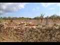 mallorca-landscape-stone-wall-drywall-dry-stone-wall-wall-masonry-nature-vacations