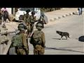 جنود إسرائيليون خلال تحقيقات بشأن عمليات تخريب طال