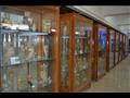 متحف قسم علم الحيوان كلية العلوم جامعة الازهر اسيوط 