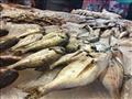 أنواع وأسعار الأسماك في بورسعيد