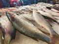 أنواع وأسعار الأسماك في بورسعيد 