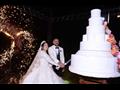 حفل زفاف دنيا حجاج عبد العظيم  (3)