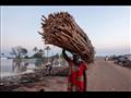 امرأة تحمل خشبًا جافًا لبناء مأوى مؤقت لعائلتها النازحة