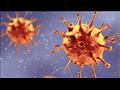 فيروس كورونا (صورة مجهرية)