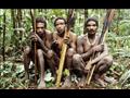 قبيلة نائية في الأدغال الإندونيسية