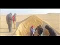 دراسات التربة بصحراء السويس 