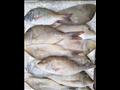 الأسماك واللحوم والدواجن (2)
