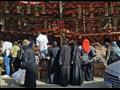 أسواق بيع فوانيس رمضان في السيدة زينب (17)