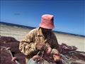 غازل شباك الصيد على شاطئ بورسعيد