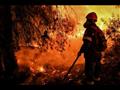 رجل إطفاء يكافح حريق غابات في سخينوس اليونانية