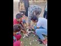 حملة لتطعيم وتعقيم كلاب الشوارع في أسوان