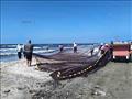 صيادون يجذبون الأنظار على شاطئ بورسعيد