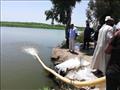 الثروة السمكية تلقي ٧٥٠ ألف وحدة زريعة أسماك ببحيرة البرلس 