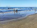 مياه شاطئ بورسعيد 