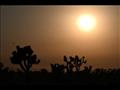 غروب الشمس في كاليفورنيا حيث بلغت درجات الحرارة 41