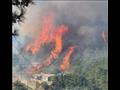 حرائق الغابات في عكار