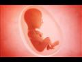 ماذا تعني أوضاع الجنين المختلفة في بطن أمه؟