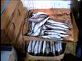 ضبط 3.7 طن لحوم وأسماك مجهولة المصدر في الشرقية