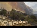 حرائق الغابات في الجزائر 