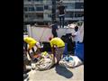 رفع القمامة من شواطئ الإسكندرية 