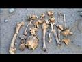 عظام بشرية ارشيفية