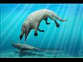 اكتشاف جديد لنوع من الحيتان البرمائية بالمياه المصرية 