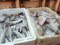 أسعار الأسماك  في سوق العبور