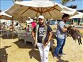 مهرجان الحيوانات الأليفة بشواطئ بورسعيد
