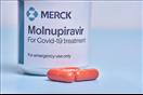 دواء المولونبيرافير