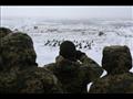 جنود أوكرانيون يشاركون في تدريبات عسكرية قرب مدينة