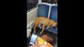  ركاب يتركوا كلبا نائم على مقعدين في حافلة مزدحمة للغاية