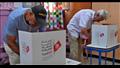 الانتخابات التونسية    أرشيفية