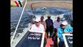 سباق النيل لبطولة الصعيد لسباحة المياه المفتوحة في أسوان