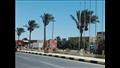 أشجار النخيل تزين الشوارع بجنوب سيناء