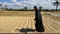 مزارع في محافظة البحيرة 