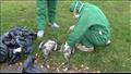 إخلاء حديقة حيوان برلين بسبب إنفلونزا الطيور