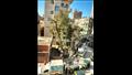 قرد بيتنطط على شجرة مستشفى طهطا العام 
