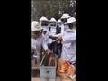 دورة تدريبية عملية عن تربية نحل العسل