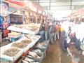 أسعار الأسماك في سوق بورسعيد 