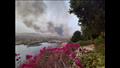 السيطرة على حريق محمية سالوجا وغزال في أسوان 