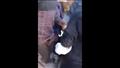 مصدر أمني يكشف تفاصيل فيديو الاعتداء على شخص في شوارع أسيوط