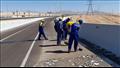 عمال النظافة خلية نحل في شرم الشيخ 
