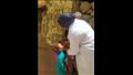 تطعيمات شلل الأطفال